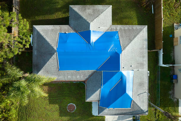 Best Metal Roofing Installation  in Harrington, DE