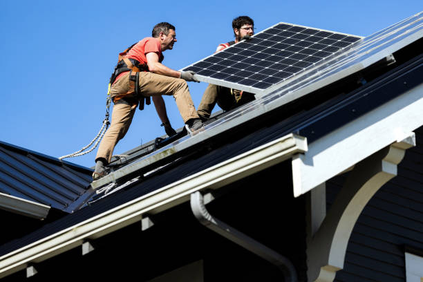 Best Asphalt Shingle Roofing  in Harrington, DE